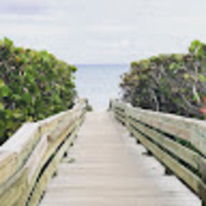 Meet your Posher, Ava